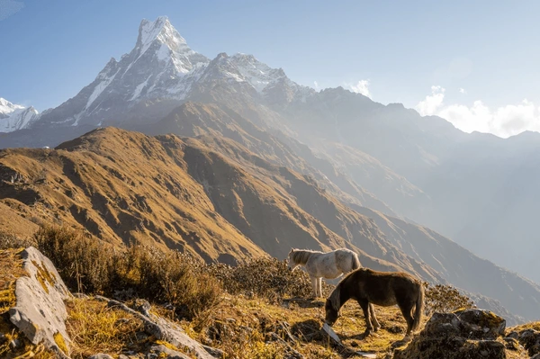 mount fishtail in annapurna 