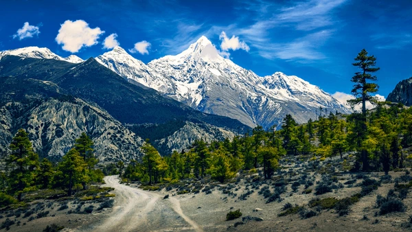 annapurna trekking in spring