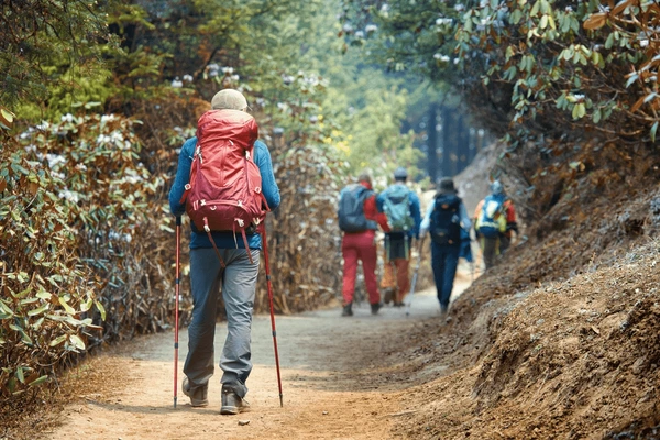 group of trekkers trekking in annapurna