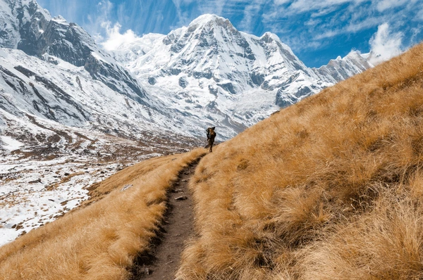 hiker in annapurna base camp trek