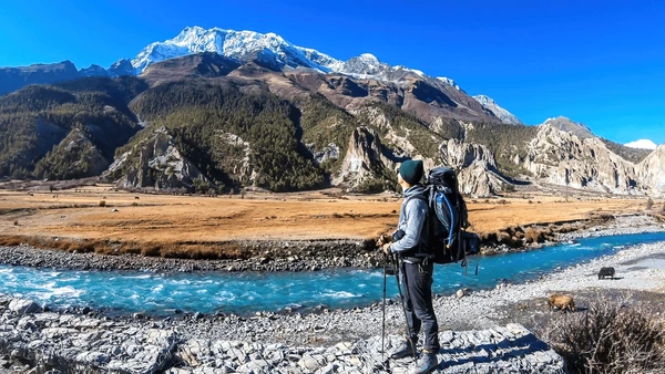 hiker in annapurna region