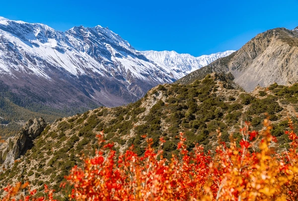 mountain valleys of annapurna circuit trek