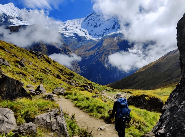 trekker walking in abc heading towards machhapuchhre